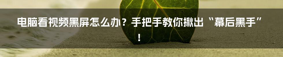 电脑看视频黑屏怎么办？手把手教你揪出“幕后黑手”！