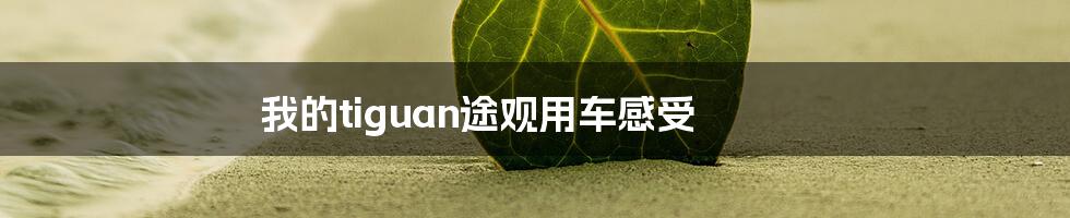 我的tiguan途观用车感受