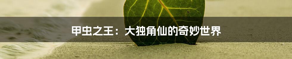 甲虫之王：大独角仙的奇妙世界