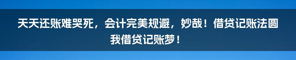 天天还账难哭死，会计完美规避，妙哉！借贷记账法圆我借贷记账梦！