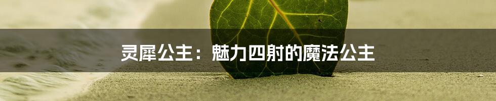 灵犀公主：魅力四射的魔法公主