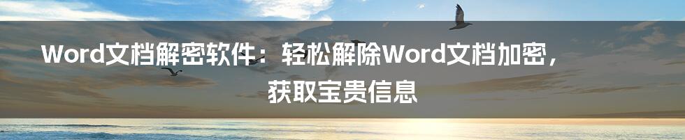 Word文档解密软件：轻松解除Word文档加密，获取宝贵信息