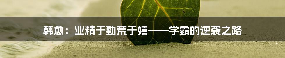 韩愈：业精于勤荒于嬉——学霸的逆袭之路