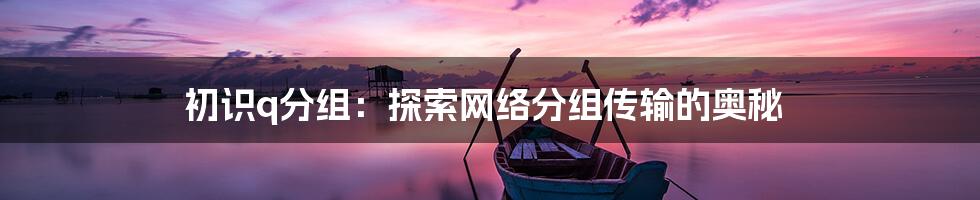 初识q分组：探索网络分组传输的奥秘