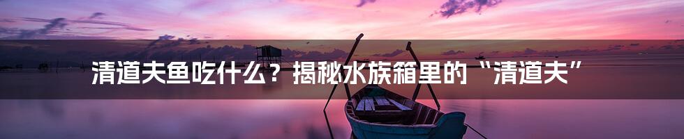 清道夫鱼吃什么？揭秘水族箱里的“清道夫”