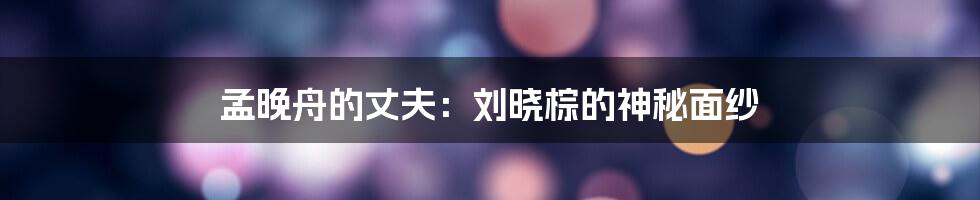 孟晚舟的丈夫：刘晓棕的神秘面纱