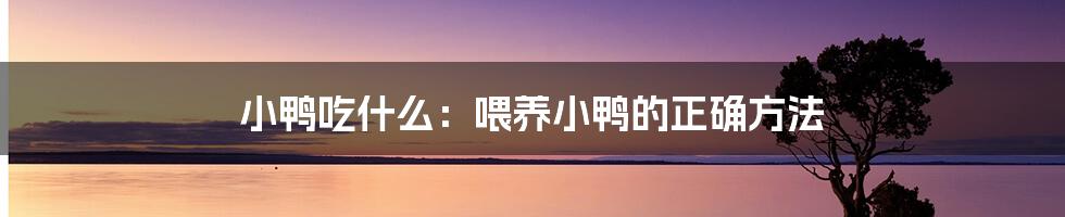 小鸭吃什么：喂养小鸭的正确方法