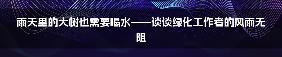 雨天里的大树也需要喝水——谈谈绿化工作者的风雨无阻