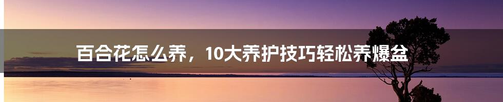 百合花怎么养，10大养护技巧轻松养爆盆