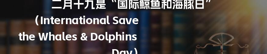 二月十九是“国际鲸鱼和海豚日” （International Save the Whales & Dolphins Day）