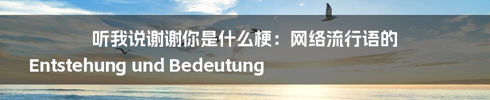 听我说谢谢你是什么梗：网络流行语的 Entstehung und Bedeutung