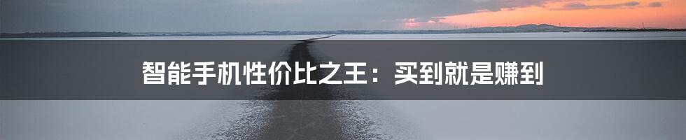 智能手机性价比之王：买到就是赚到