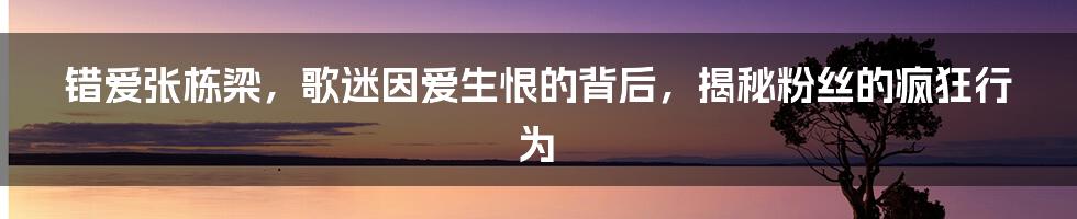 错爱张栋梁，歌迷因爱生恨的背后，揭秘粉丝的疯狂行为