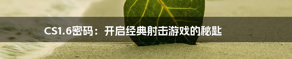 CS1.6密码：开启经典射击游戏的秘匙