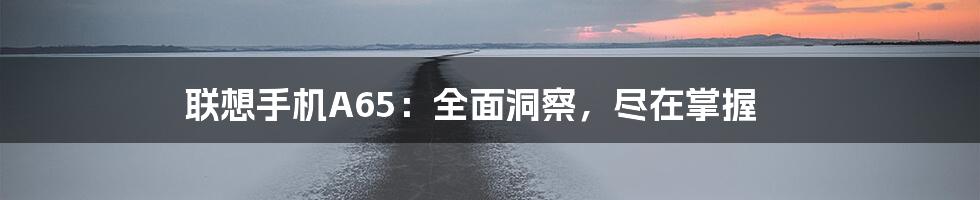 联想手机A65：全面洞察，尽在掌握