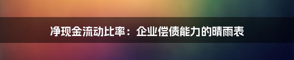 净现金流动比率：企业偿债能力的晴雨表