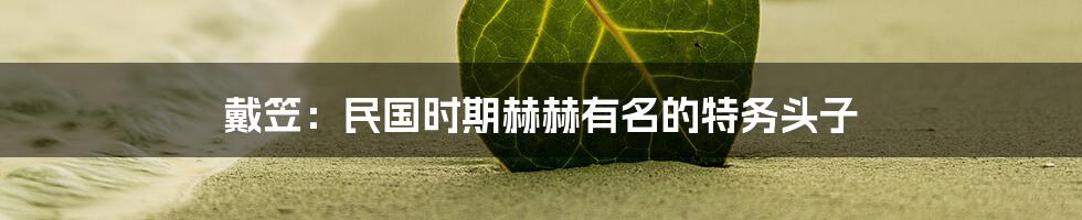 戴笠：民国时期赫赫有名的特务头子