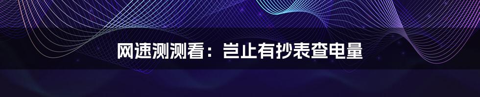 网速测测看：岂止有抄表查电量