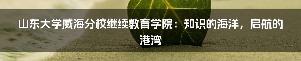 山东大学威海分校继续教育学院：知识的海洋，启航的港湾