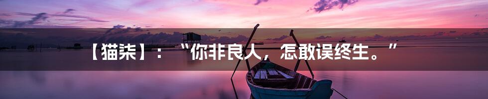 【猫柒】：“你非良人，怎敢误终生。”