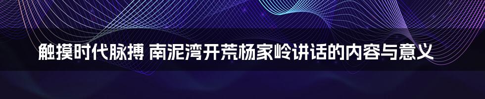 触摸时代脉搏 南泥湾开荒杨家岭讲话的内容与意义