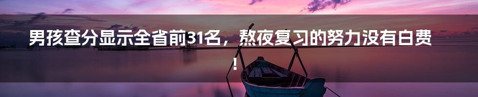 男孩查分显示全省前31名，熬夜复习的努力没有白费！