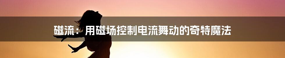 磁流：用磁场控制电流舞动的奇特魔法