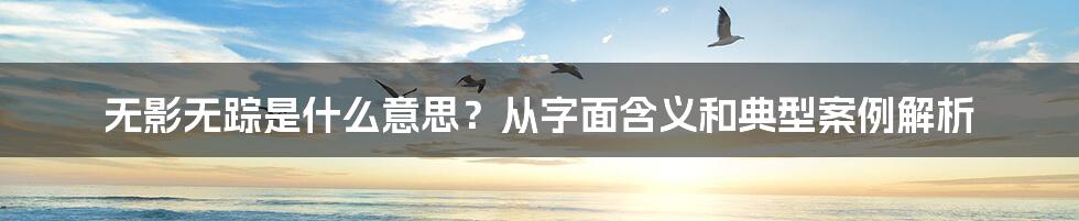 无影无踪是什么意思？从字面含义和典型案例解析