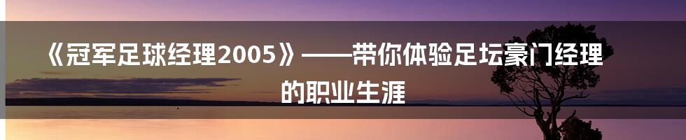 《冠军足球经理2005》——带你体验足坛豪门经理的职业生涯