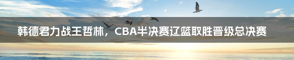 韩德君力战王哲林，CBA半决赛辽篮取胜晋级总决赛