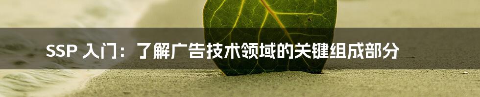 SSP 入门：了解广告技术领域的关键组成部分