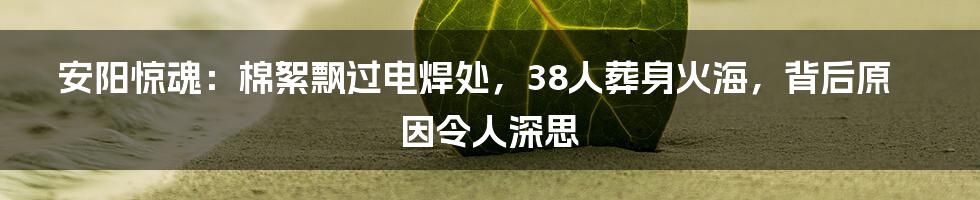 安阳惊魂：棉絮飘过电焊处，38人葬身火海，背后原因令人深思