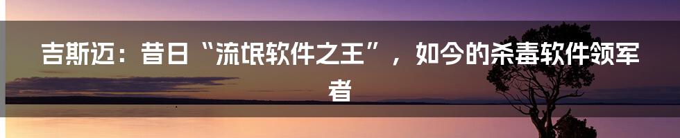 吉斯迈：昔日“流氓软件之王”，如今的杀毒软件领军者