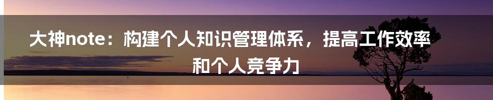 大神note：构建个人知识管理体系，提高工作效率和个人竞争力