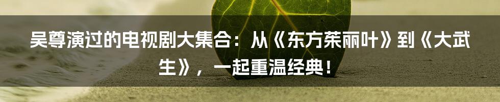 吴尊演过的电视剧大集合：从《东方茱丽叶》到《大武生》，一起重温经典！