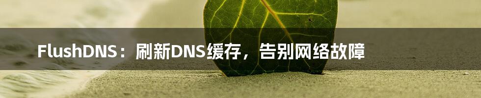 FlushDNS：刷新DNS缓存，告别网络故障