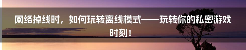 网络掉线时，如何玩转离线模式——玩转你的私密游戏时刻！