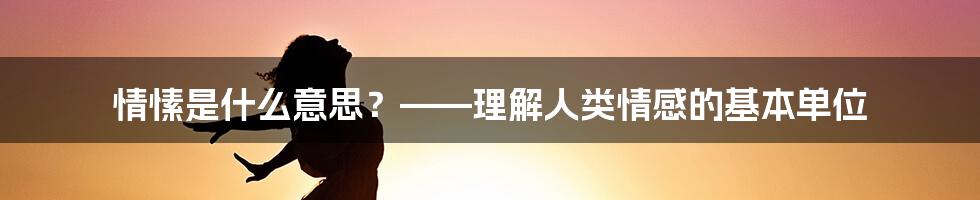 情愫是什么意思？——理解人类情感的基本单位