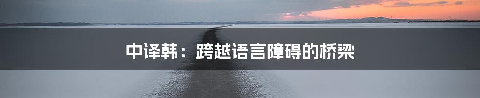 中译韩：跨越语言障碍的桥梁