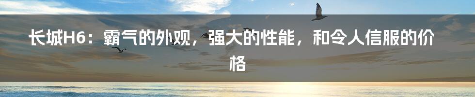 长城H6：霸气的外观，强大的性能，和令人信服的价格