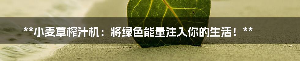 **小麦草榨汁机：将绿色能量注入你的生活！**