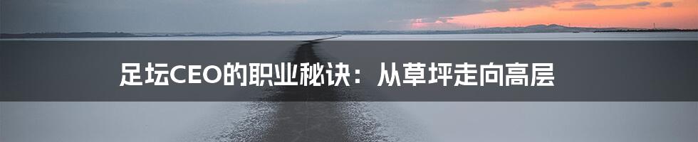 足坛CEO的职业秘诀：从草坪走向高层