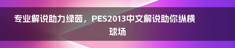 专业解说助力绿茵，PES2013中文解说助你纵横球场