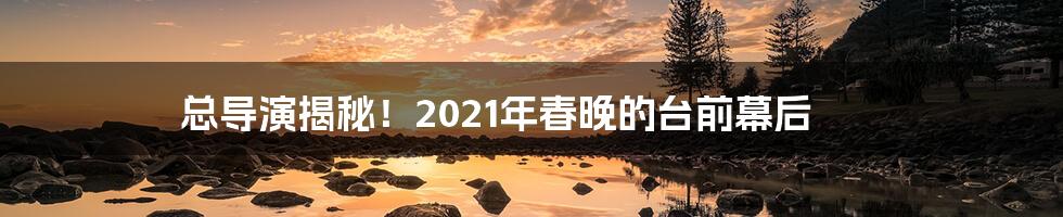 总导演揭秘！2021年春晚的台前幕后