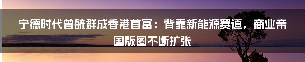 宁德时代曾毓群成香港首富：背靠新能源赛道，商业帝国版图不断扩张