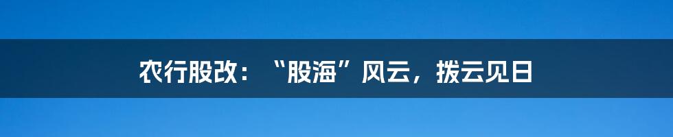 农行股改：“股海”风云，拨云见日