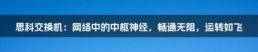 思科交换机：网络中的中枢神经，畅通无阻，运转如飞