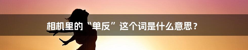 相机里的“单反”这个词是什么意思？