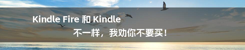 Kindle Fire 和 Kindle 不一样，我劝你不要买！