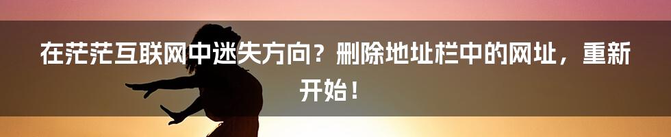 在茫茫互联网中迷失方向？删除地址栏中的网址，重新开始！